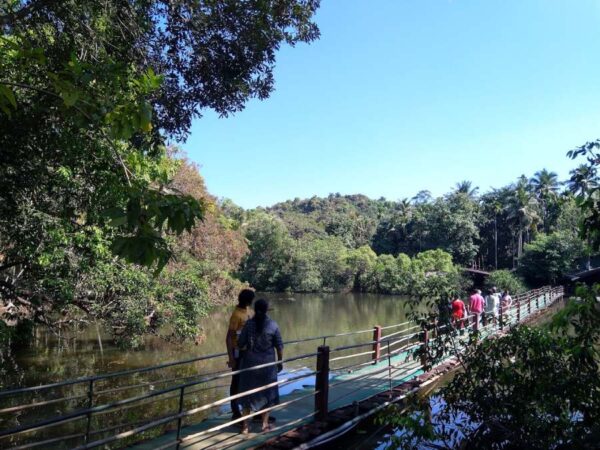 tropical-plantation-goa